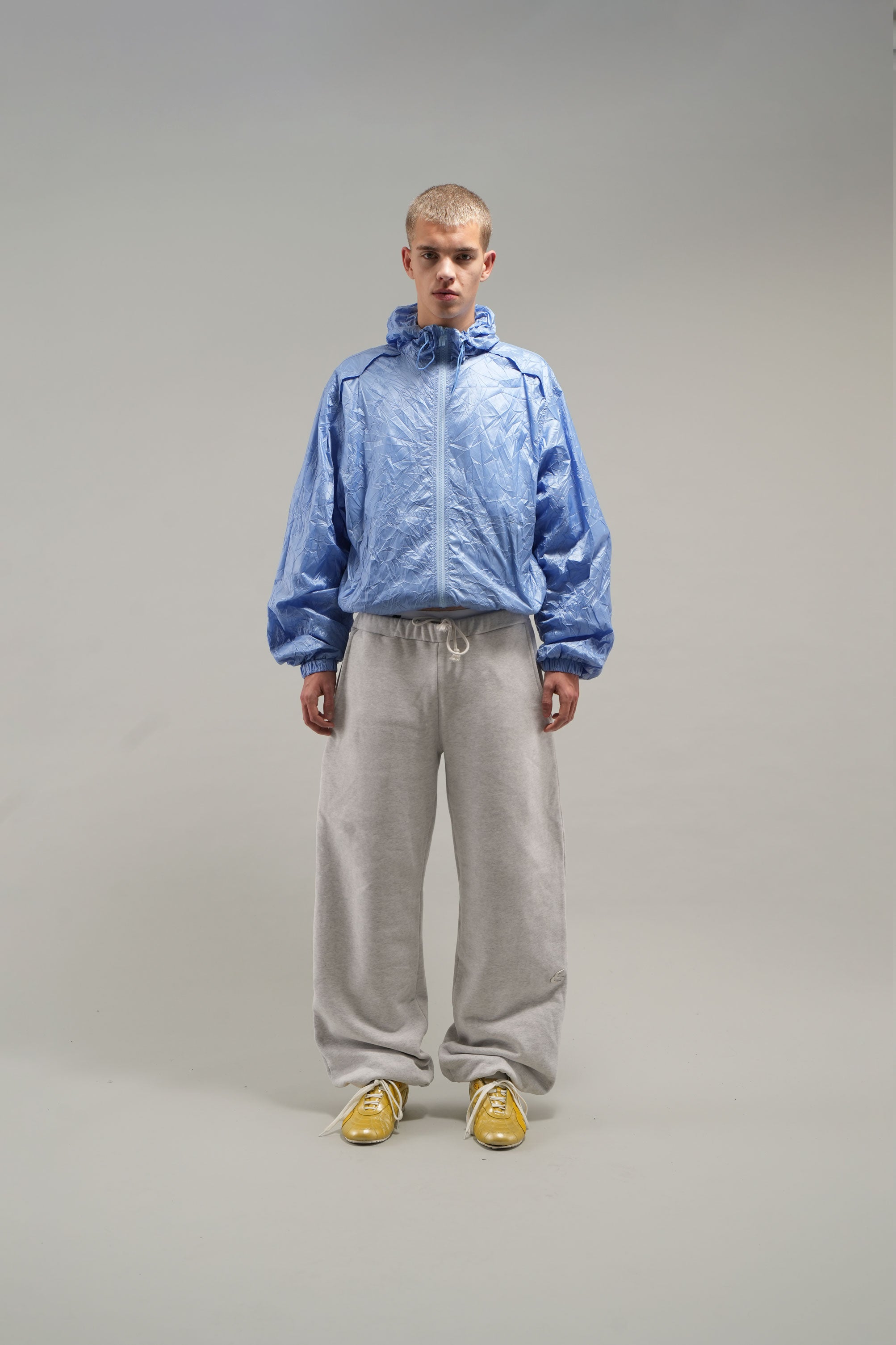 Słona niebieska wiatrówka